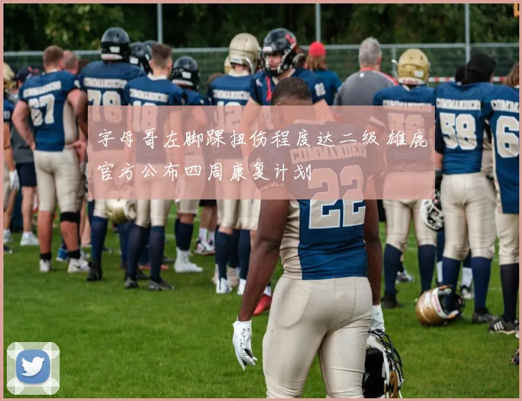 字母哥左脚踝扭伤程度达二级 雄鹿官方公布四周康复计划